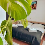 Ivanovic Apartament *