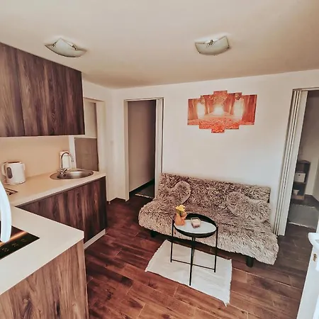 Apartment Ivanovic *