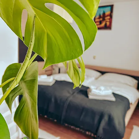 Ivanovic Apartament *