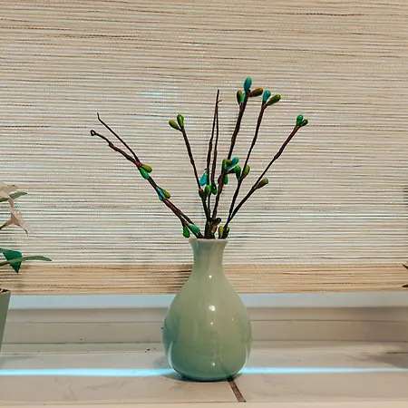 Ivanovic Apartament Idrija