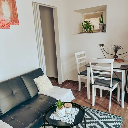 Ivanovic Apartma Idrija