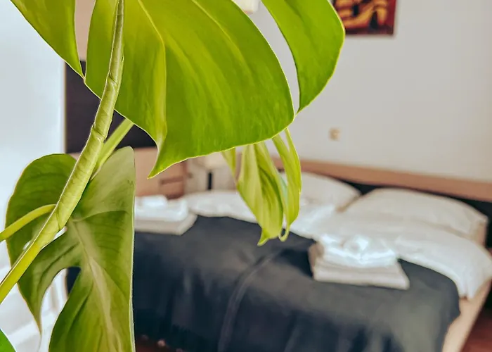 Ivanović Appartement *