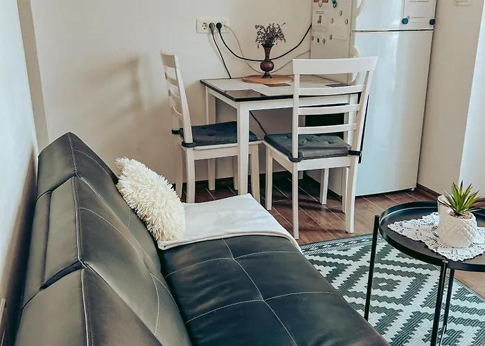 Ivanovic Apartment *